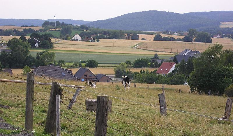 Stadtteil Mühlrath