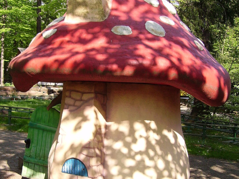 Pilzpfad &ndash; Pilzdorf