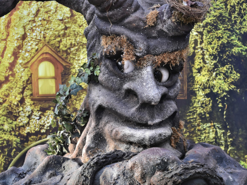 Pilzpfad &ndash; Sprechender Baum