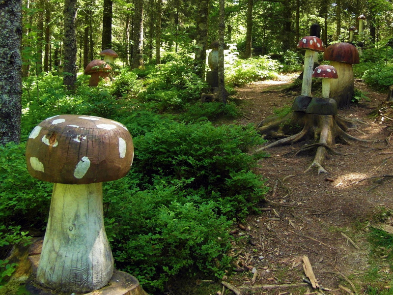Pilzpfad &ndash; Erlebnisroute